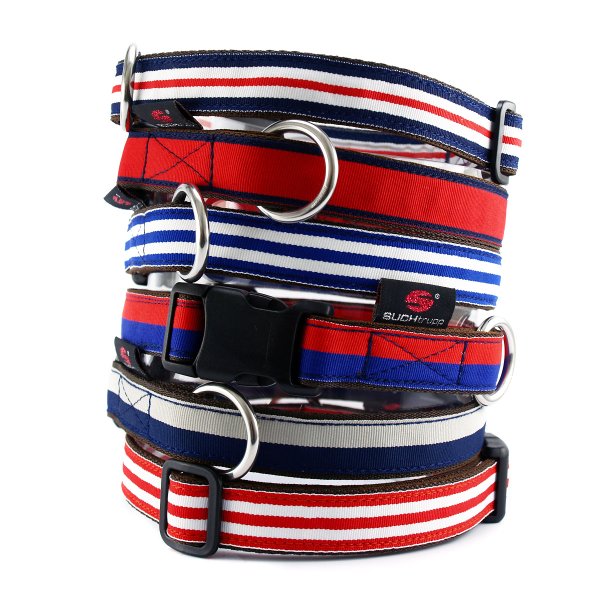 Hundehalsbänder-mit-Klickschließe-SUCHtrupp-hochwertig-halsband-hunde