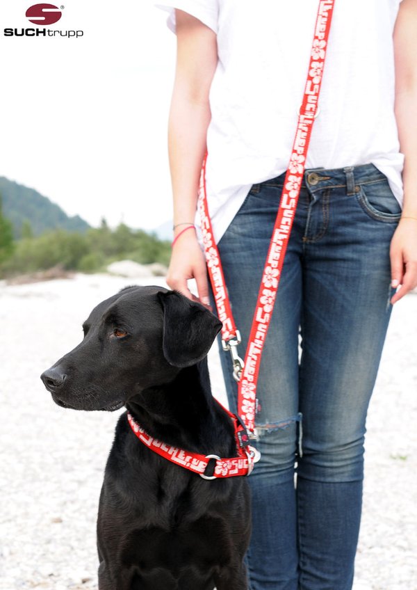 Schlupfhalsband, Stopp-Hundehalsband ALOHA medium