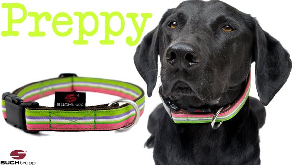 Hundehalsband PREPPY medium, Hundehalsbänder
