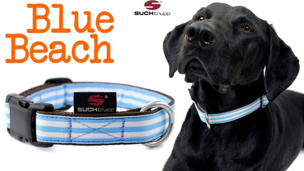 Hundehalsband BLUE BEACH medium, Hundehalsbänder
