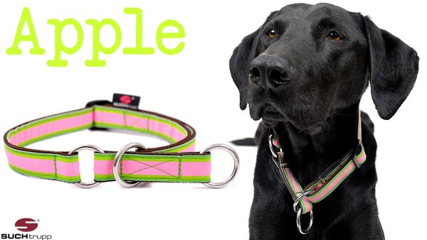 Schlupfhalsband, Stopp-Hundehalsband APPLE large