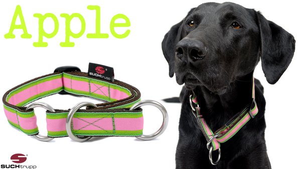 Schlupfhalsband, Stopp-Hundehalsband APPLE medium