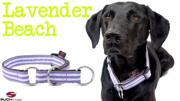Schlupfhalsband, Stopp-Hundehalsband LAVENDER BEACH medium