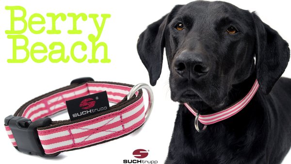 Hundehalsband BERRY BEACH medium, Hundehalsbänder