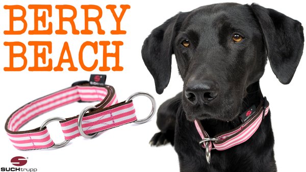 Schlupfhalsband, Stopp-Hundehalsband BERRY BEACH medium