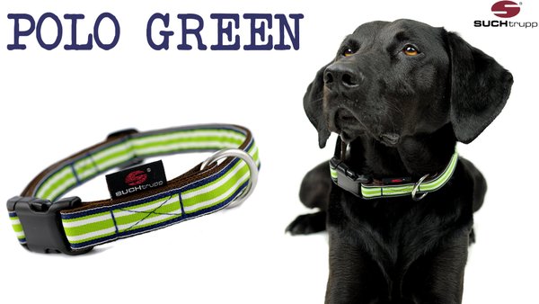 Hundehalsband POLO GREEN large, Hundehalsbänder