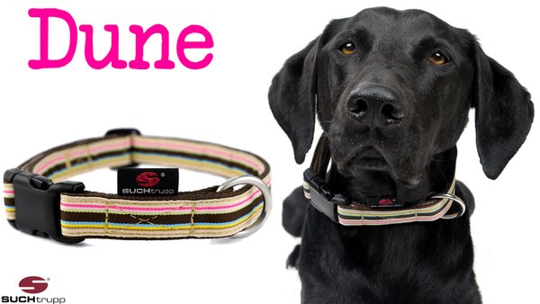 Hundehalsband DUNE medium, Hundehalsbänder