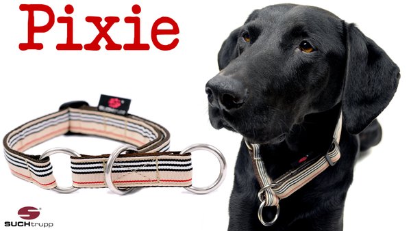 Schlupfhalsband, Stopp-Hundehalsband PIXIE large