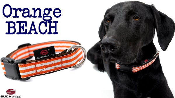 Hundehalsband ORANGE BEACH medium, Hundehalsbänder