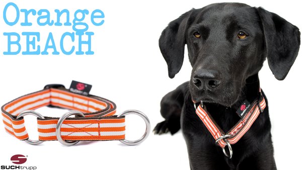 Schlupfhalsband, Stopp-Hundehalsband ORANGE BEACH medium