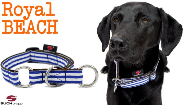 Schlupfhalsband, Stopp-Hundehalsband ROYAL BEACH medium