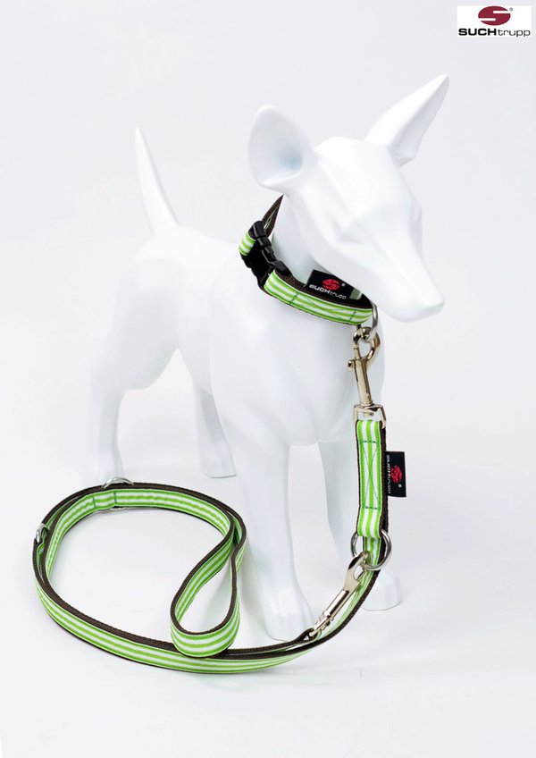 Hundehalsband small LIME BEACH, Design-Hundehalsbänder für kleine Hunde, lionengrüne-weiße Streifen