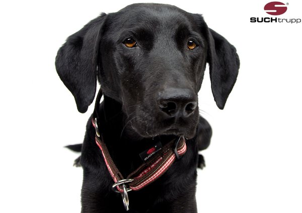 Wiesn-Schlupfhalsband, Stopp-Hundehalsband FESCHES MADL GRANATROT medium