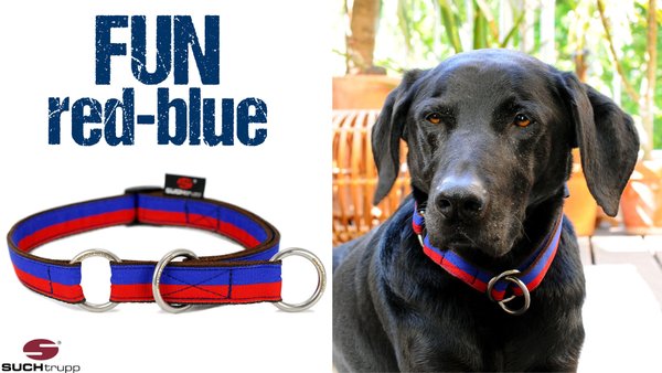 Schlupfhalsband, Stopp-Hundehalsband FUN RED-BLUE large