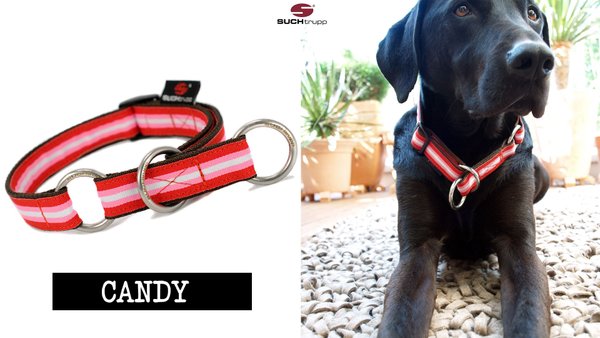 Schlupfhalsband, Stopp-Hundehalsband CANDY large