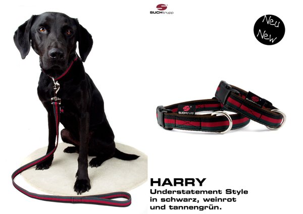 Hundehalsband HARRY large, Hundehalsbänder
