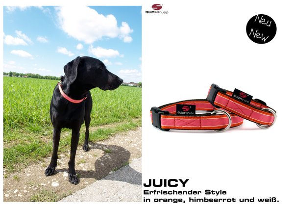 Hundehalsband JUICY medium, Hundehalsbänder