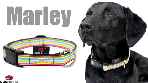 Hundehalsband MARLEY medium, Hundehalsbänder