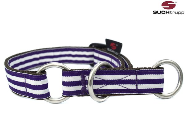 Schlupfhalsband, Stopp-Hundehalsband PURPLE BEACH medium