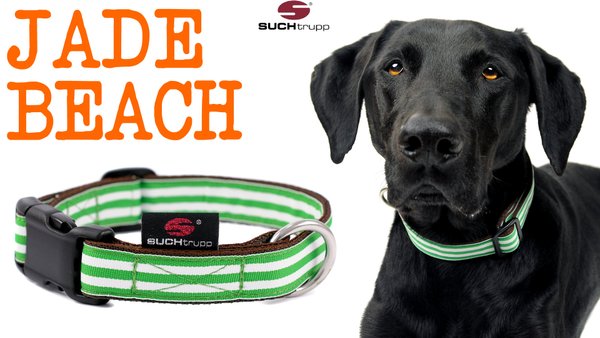 Hundehalsband JADE BEACH medium, Hundehalsbänder