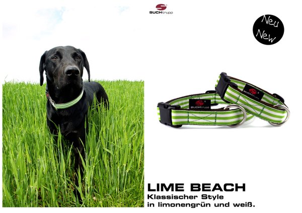 Hundehalsband LIME BEACH medium, Hundehalsbänder