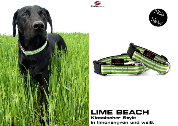 Hundehalsband LIME BEACH large, Hundehalsbänder