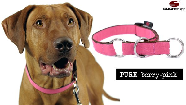 Schlupfhalsband, Stopp-Hundehalsband PURE BERRY-PINK medium