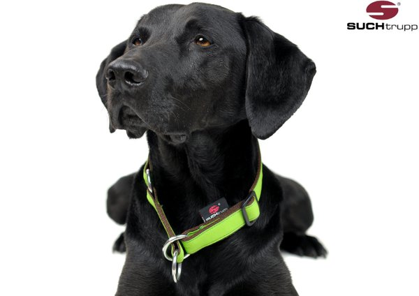 Schlupfhalsband, Stopp-Hundehalsband PURE LIME-GREEN medium