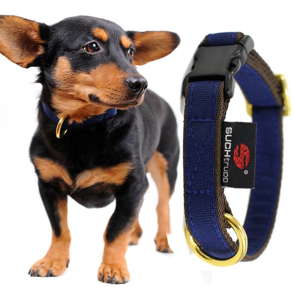 Hundehalsband small PURE DARK-BLUE, Design Halsbänder kleine Hunde, Welpen, unifarben dunkelblau.