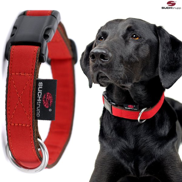 Hundehalsband PURE RED medium, schöne rote Design-Hundehalsbänder