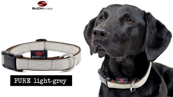Hundehalsband PURE LIGHT-GREY medium, Hundehalsbänder