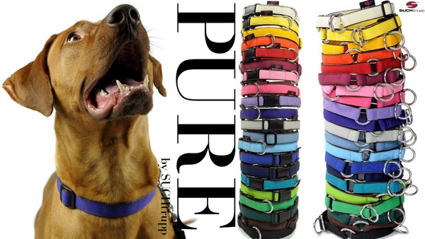 Hundehalsband PURE PURPLE large, Hundehalsbänder