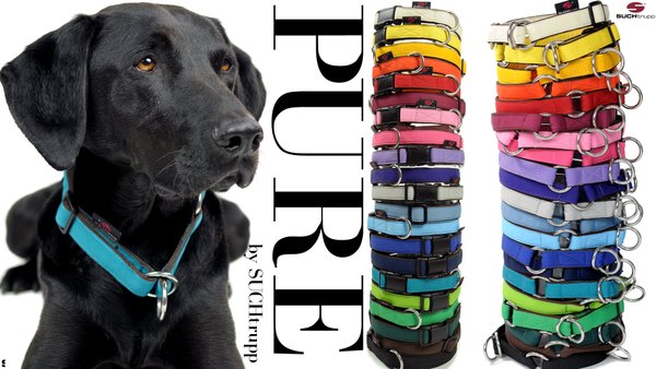 Schlupfhalsband, Stopp-Hundehalsband PURE PURPLE medium