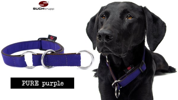 Schlupfhalsband, Stopp-Hundehalsband PURE PURPLE medium