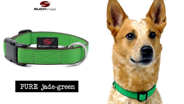 Hundehalsband PURE JADE-GREEN large, Hundehalsbänder