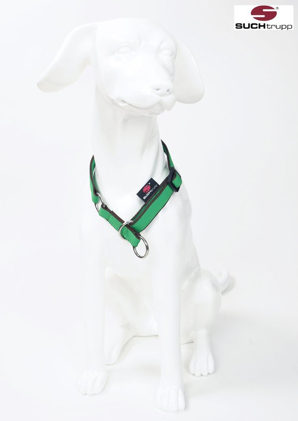 Schlupfhalsband, Stopp-Hundehalsband PURE JADE-GREEN small