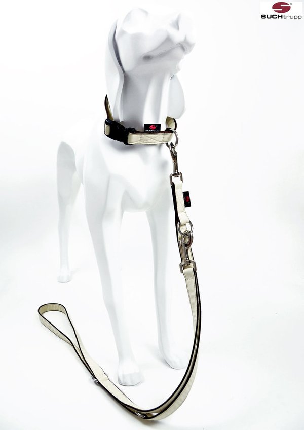 Hundehalsband PURE CREAM medium, schönste Hundehalsbänder creme-weiß