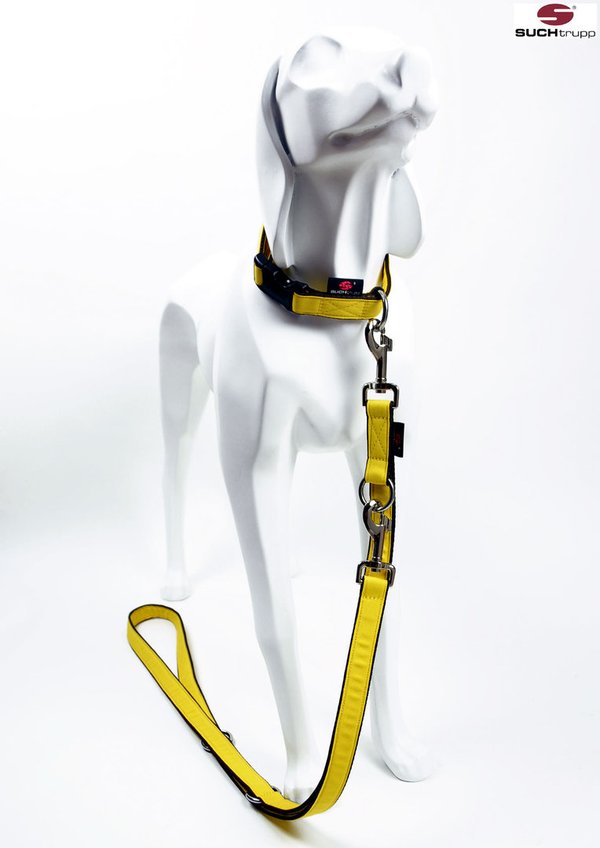Hundehalsband PURE LIGHT-YELLOW medium hellgelb, zitronengelb, schöne besondere Halsbänder