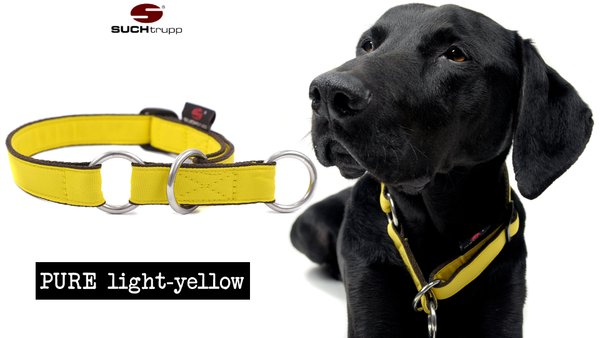 Schlupfhalsband, Stopp-Hundehalsband PURE LIGHT-YELLOW medium