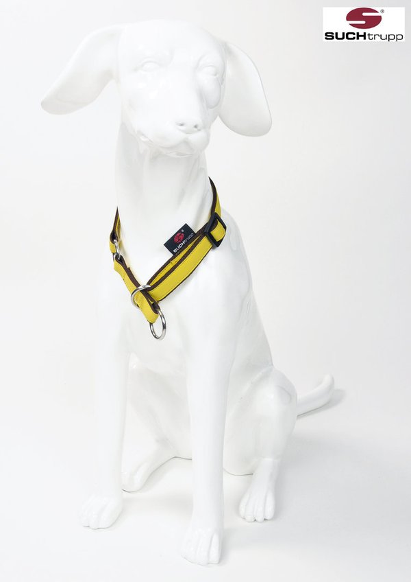 Schlupfhalsband, Stopp-Hundehalsband PURE LIGHT-YELLOW small
