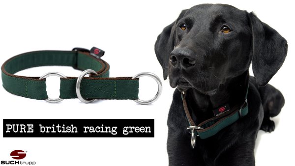 Schlupfhalsband, Stopp-Hundehalsband PURE BRITISH RACING GREEN medium