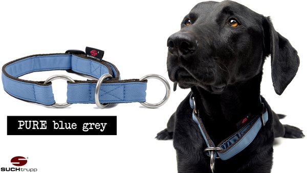 Schlupfhalsband, Stopp-Hundehalsband PURE GREY-BLUE medium