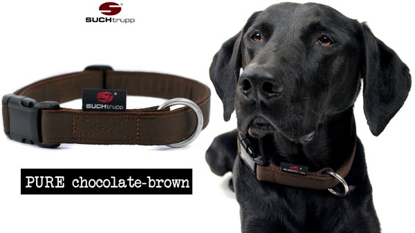 Hundehalsband PURE CHOCOLATE-BROWN medium, schokobraune Hundehalsbänder