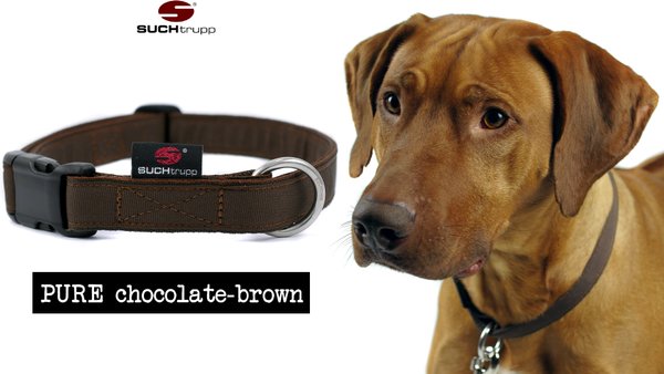 Hundehalsband PURE CHOCOLATE-BROWN medium, schokobraune Hundehalsbänder
