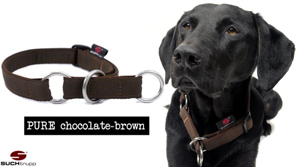 Schlupfhalsband, Stopp-Hundehalsband PURE CHOCOLATE-BROWN medium
