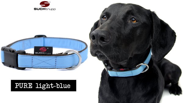 Hundehalsband PURE LIGHT-BLUE large, Hundehalsbänder