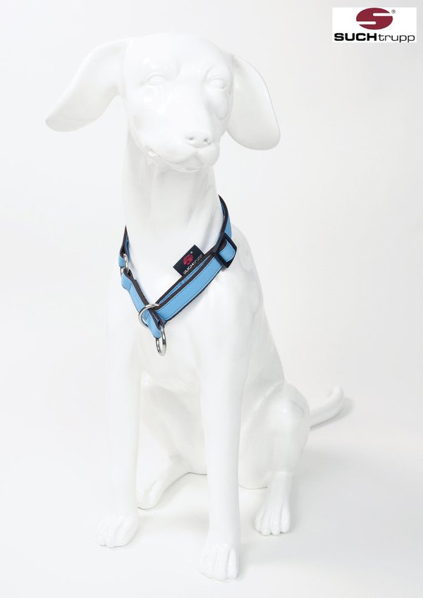 Schlupfhalsband, Stopp-Hundehalsband PURE LIGHT-BLUE small