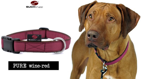 Hundehalsband PURE WINE-RED large, Hundehalsbänder