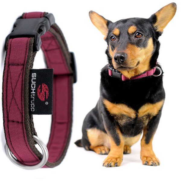 Hundehalsband small PURE WINE-RED, Premium Hundehalsbänder, kleine Hunde, weinrot, Bordeaux Rot.