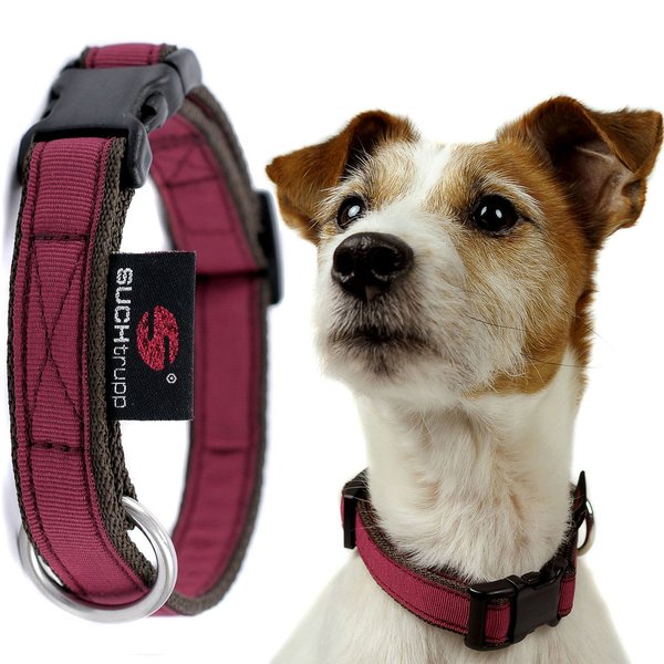 Hundehalsband small PURE WINE-RED, Premium Hundehalsbänder, kleine Hunde, weinrot, Bordeaux Rot.